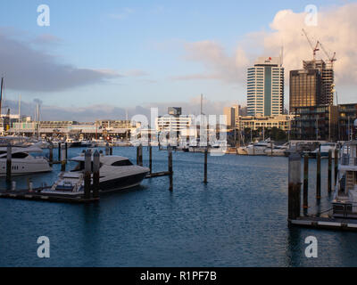 Boote in Viaduct Harbour in Auckland. Stockfoto