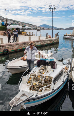 Albanien, Sarande, Fischer Stockfoto