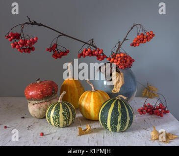 Stilleben mit Kürbis und Rowan. Vintage Retro. Stockfoto