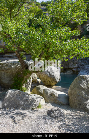 Idylle mit Baum und Felsen am Flußufer, Gorges de la Méouge, Provence, Frankreich Stockfoto