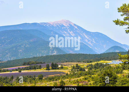 Landschaft Panorama der Provence mit Berg Mont Ventoux, Frankreich, in der Nähe von Ferrassières Stockfoto