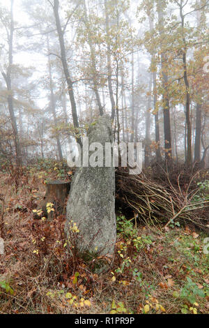Menhire in den Wäldern, Tschechische Republik Stockfoto