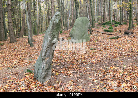 Menhire in den Wäldern, Tschechische Republik Stockfoto