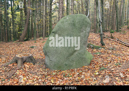Menhire in den Wäldern, Tschechische Republik Stockfoto