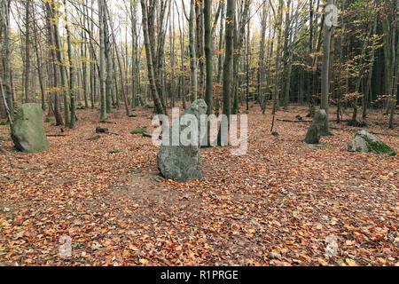 Menhire in den Wäldern, Tschechische Republik Stockfoto