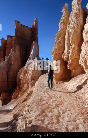 Frau Wanderungen bergauf Vergangenheit vielfältigen Felsformationen (HOODOOS) im Bryce Canyon National Park, Utah Stockfoto