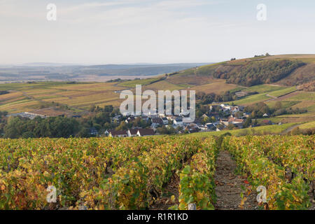 Die Weinberge von Sancerre, Frankreich. Die Gegend ist für seine Weine aus Rebsorten wie Pinot Noir und Sauvignon Blanc bekannt. Es ist auch auf der Stockfoto