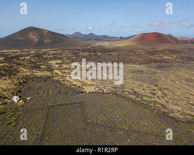 Luftaufnahme Montaña Negra und Caldera Colorada Vulkan, lava Feld mit Flechten, Lanzarote, Kanarische Inseln, Spanien. Die Weinproduktion Stockfoto