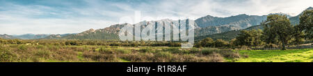 Panoramablick auf die regino Tal in der Balagne Korsika mit der Ortschaft Nessa in der Ferne die Berge hinter Stockfoto