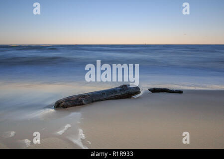 Ocean Beach mit einem gestrandeten Baumstamm Stockfoto