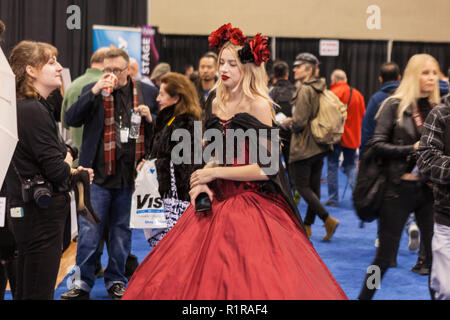 Toronto, Kanada - 13. November 2018: Die Fülle der Expo 2018. Für 8 Jahre, ProFusion Expo ist die führende Veranstaltung für Kanadas Imaging Profis. Fotografen und Videofilmer. Credit: Deyan Baric/Alamy leben Nachrichten Stockfoto