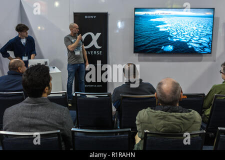 Toronto, Kanada - 13. November 2018: Die Fülle der Expo 2018. Für 8 Jahre, ProFusion Expo ist die führende Veranstaltung für Kanadas Imaging Profis. Fotografen und Videofilmer. Credit: Deyan Baric/Alamy leben Nachrichten Stockfoto