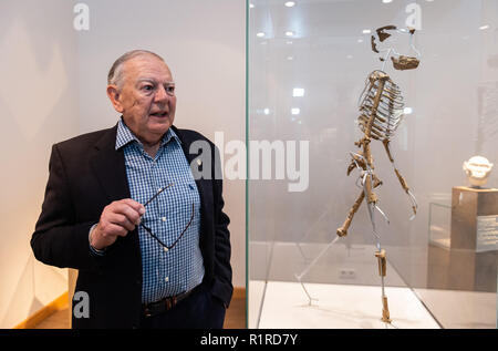 14. November 2018, Hessen, Frankfurt/Main: Die amerikanische Paleoanthropologist und Entdecker der 'Lucy' Skelett, Donald C. Johanson, steht neben einer Nachbildung der 'Lucy' Skelett im Senckenberg Museum. Die Paleoanthropologist entdeckte den Australopithecus afarensis Skelettreste vor 44 Jahren in Äthiopien. Das Skelett "Lucy" galt lange Zeit als der älteste Beweis der aufrechte Gang unserer Vorfahren betrachtet. Foto: Silas Stein/dpa Stockfoto