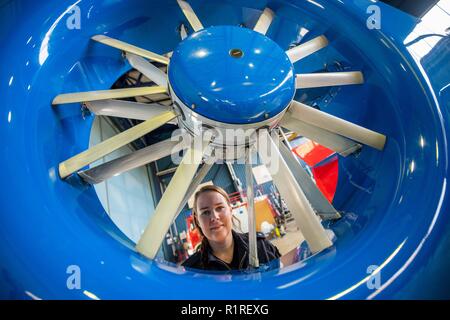 Rastede, Deutschland. 14 Nov, 2018. Kirsten Böning, erste weibliche Hubschrauberpilot der Polizei Niedersachsen, sieht durch den Heckrotor eines Polizeihubschraubers. Credit: mohssen Assanimoghaddam/dpa/Alamy leben Nachrichten Stockfoto