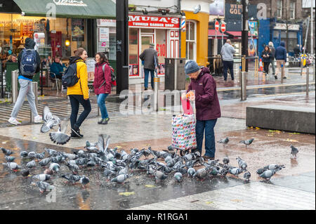 Cork, Irland. 14 Nov, 2018. Eine Frau füttert die Tauben in Entmutigen Square, Cork City, während einer Periode sehr nassem Wetter. Es werden keine oben lassen, mit mehr vom Gleichen Prognose für morgen. Credit: Andy Gibson/Alamy Leben Nachrichten. Stockfoto