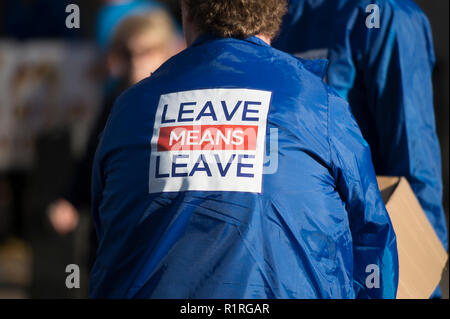 Whitehall, London, UK. 14. November 2018. Pro Brexit Mitkämpfer gegenüber von Downing Street und anti Brexit Gruppen in der Nähe der Downing Street sammeln Als besondere Kabinettssitzung durch zu sitzen ist der endgültige Entwurf zu diskutieren. Polizei cordon Schließt das vordere Tor zur Downing Street Personal und Medien. Credit: Malcolm Park/Alamy Leben Nachrichten. Stockfoto