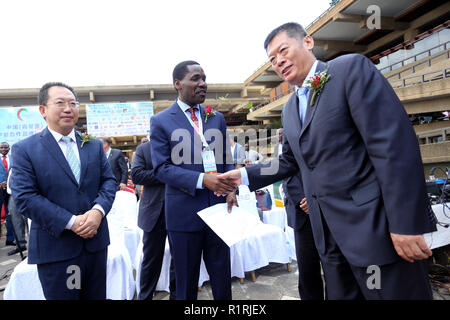 Nairobi, Kenia. 14 Nov, 2018. Die chinesische Delegation Leiter der Ausstellung Wang Xiaoguang (Mitte) gesehen Händeschütteln mit Kenias Kabinettsminister für Ministerium für Handel, Industrie und Genossenschaften Peter Munya während der Veranstaltung. China und Kenia eine industrielle Kapazität Zusammenarbeit Ausstellung in Nairobi in Kenia statt. Es ging um die Unterzeichnung von bilateralen Kooperationen in den Bereichen der Infrastruktur, in der Produktion und bei Unternehmen haben im afrikanischen Kontinent einschließlich Kenia. Credit: Billy Mutai/SOPA Images/ZUMA Draht/Alamy leben Nachrichten Stockfoto