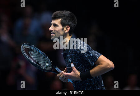 London, Großbritannien. 14. Nov 2018. Credit: Andrew Rowland/Alamy leben Nachrichten Stockfoto