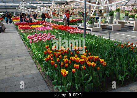 Lisse, Niederlande - 28 März 2017: Keukenhof ist jährlich geöffnet von Mitte März bis Mitte Mai. Besucher können die Pavillons mit Tulpen erkunden. Stockfoto