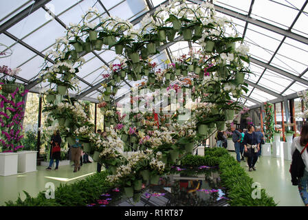 Lisse, Niederlande - 28 März 2017: Keukenhof ist jährlich geöffnet von Mitte März bis Mitte Mai. Besucher können die Pavillons mit Orchideen entdecken. Stockfoto