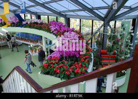 Lisse, Niederlande - 28 März 2017: Keukenhof ist jährlich geöffnet von Mitte März bis Mitte Mai. Besucher können die Pavillons mit Orchideen entdecken. Stockfoto