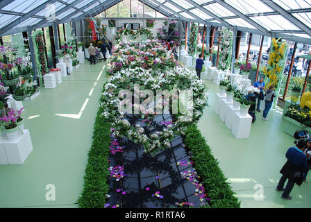 Lisse, Niederlande - 28 März 2017: Keukenhof ist jährlich geöffnet von Mitte März bis Mitte Mai. Besucher können die Pavillons mit Orchideen entdecken. Stockfoto