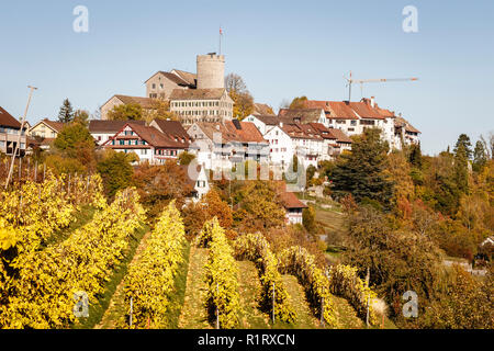 Die herbstlichen Weinberg in Regensberg, Kanton Zürich, Schweiz Stockfoto