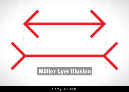 Muller-Lyer optische Illusion, Abbildung Stock Vektor