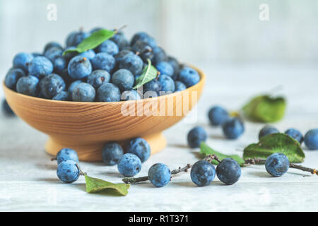 Herbst Ernte blau Schlehe auf hellem Holztisch Hintergrund. Kopieren Sie Platz. Natürliches Heilmittel Stockfoto