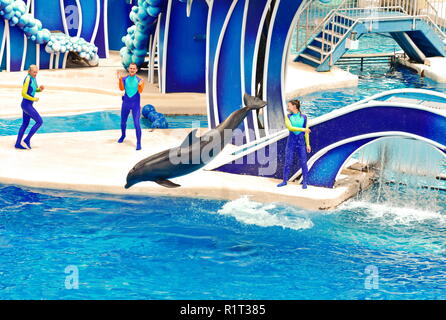 Orlando, Florida. September 09, 2018 Dolphin jumping im Pool an der Dolphin Tage zeigen. Stockfoto