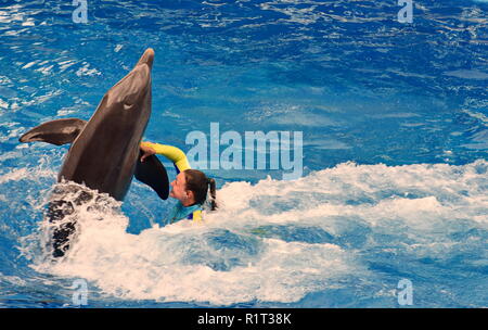 Orlando, Florida. September 09, 2018 Instruktor interagieren mit Delphin in Sea World. Es Meerestiere Theme Park. Stockfoto