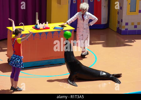 Orlando, Florida. September 09, 2018 Seelöwen Show in Seaworld Theme Park, in der Nähe von International Drive. Stockfoto
