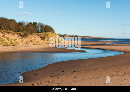 Lunan Wasserschlangen an der Nordsee halbierend Lunan Bay Beach, Angus, Schottland. Stockfoto