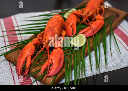 Nahaufnahme von frisch gedämpftem Hummer mit Kräutern in grauem Teller Stock Foto Stockfoto