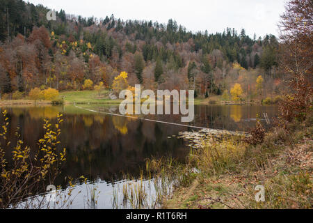 Nonnenmattweiher im südlichen Teil von Deutschland Stockfoto