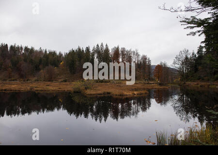 Nonnenmattweiher im südlichen Teil von Deutschland Stockfoto