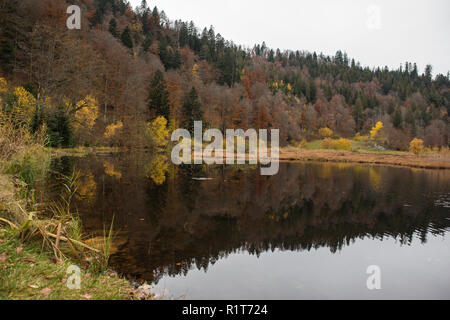 Nonnenmattweiher im südlichen Teil von Deutschland Stockfoto