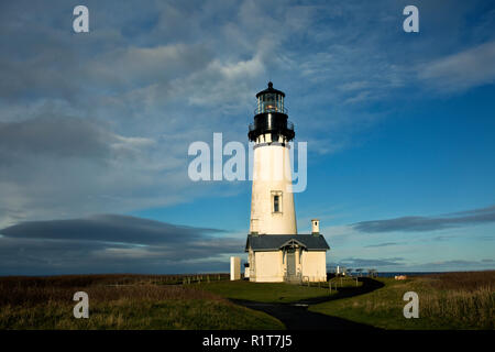 Oder 02387-00 ... OREGON - Yaquina Head Lighthouse in der Yaquina Head hervorragenden natürlichen Bereich. Stockfoto