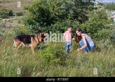 Porträt einer Mutter mit einem jungen Sohn und Hund im Wald Stockfoto