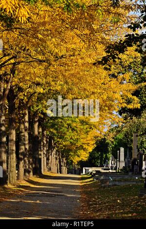 Herbst Pfad in der Zentralfriedhof in Wien, Österreich Stockfoto