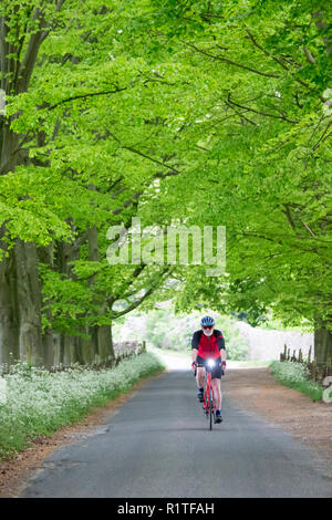 Radfahrer Tour durch die Cotswolds mit seinem Fahrrad entlang einer Allee von Bäumen in einem Feldweg bei Asthall, England Stockfoto