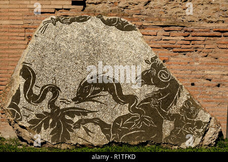 Mosaik an Ruinen der Bäder von Caracalla, (Terme di Caracalla). Römischen öffentlichen Bädern. Stockfoto