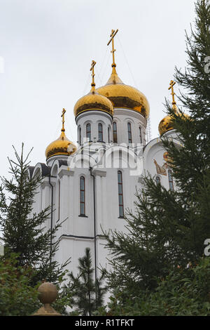 Hohe Orthodoxe Kathedrale in Weiß unter den Bäumen Stockfoto