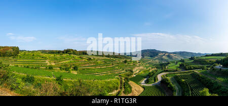 Deutschland, XXL Panorama der Weinberg Natur Landschaft und Terrassen im Kaiserstuhl region Stockfoto