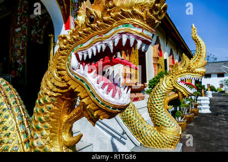 Chinesische Drachen auf dem Dach des Tempels, digitale Foto Bild als Hintergrund Stockfoto