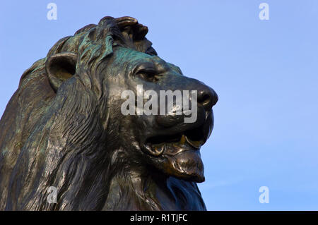 Einer der vier bronzenen Löwen an der Basis des Nelson Säule (1867) auf dem Trafalgar Square in London, England. Stockfoto