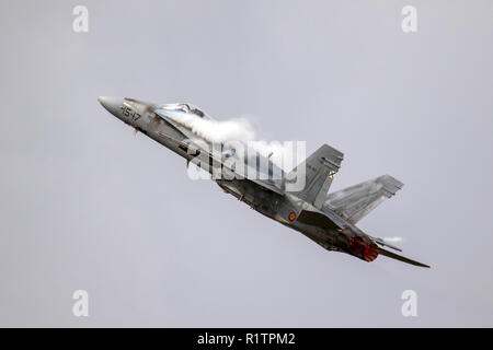 KLEINE Brogel, Belgien - Sep 8, 2018: Spanish Air Force McDonnell Douglas F-18 Hornet Kampfjet Flugzeuge im Flug über Kleine-Brogel Airbase. Stockfoto