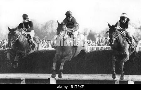 Foto muss Gutgeschrieben © Alpha Presse05000027/12/1982 Wayward KOP-racing in der King George VI Chase bei Kempton Park Racecourse in Sunbury-on-Thames, Surrey Stockfoto