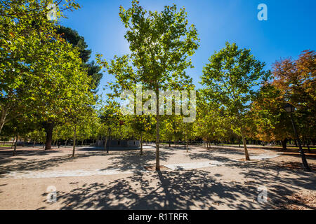 Herbst Farben in die Blätter von den Bäumen im Park Retiro in Madrid an einem sonnigen Tag, Spanien Stockfoto