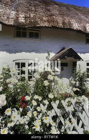 Reetdachhaus, Avebury, Wiltshire, England, Großbritannien Stockfoto